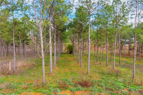 a view of pool with a backyard