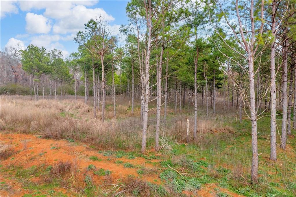 1660 Watkins Farm Road Nicholson, GA 30565 - Photo 30 of 55 a backyard of a house with lots of green space