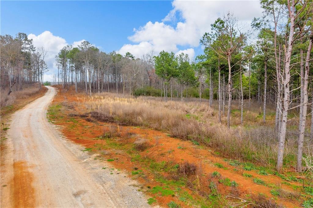 1660 Watkins Farm Road Nicholson, GA 30565 - Photo 31 of 55