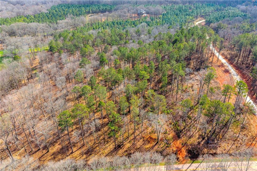 1660 Watkins Farm Road Nicholson, GA 30565 - Photo 35 of 55 a view of a forest with a tree