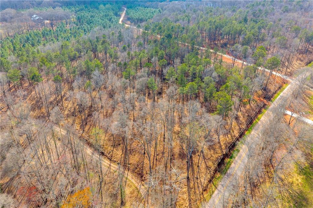 1660 Watkins Farm Road Nicholson, GA 30565 - Photo 36 of 55 a view of a yard with a tree