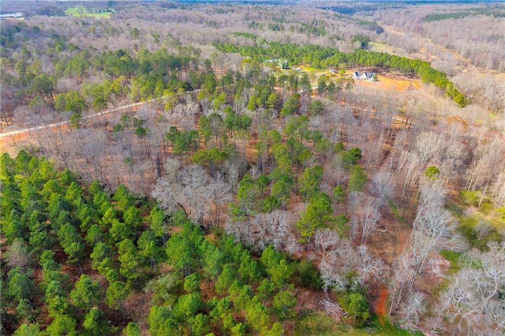 1660 Watkins Farm Road Nicholson, GA 30565 - Photo 38 of 55