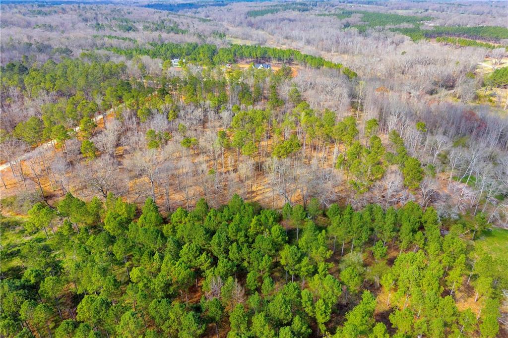 1660 Watkins Farm Road Nicholson, GA 30565 - Photo 39 of 55 a view of a yard with plants and large trees