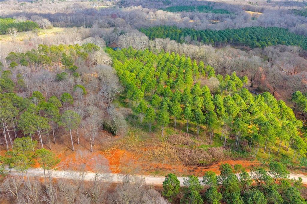 1660 Watkins Farm Road Nicholson, GA 30565 - Photo 41 of 55 a backyard of a house with a yard and green space
