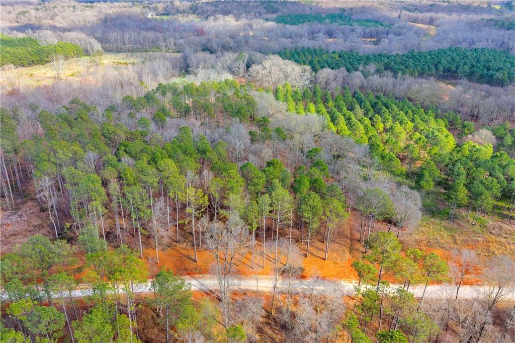 1660 Watkins Farm Road Nicholson, GA 30565 - Photo 42 of 55 a view of a lake with a yard