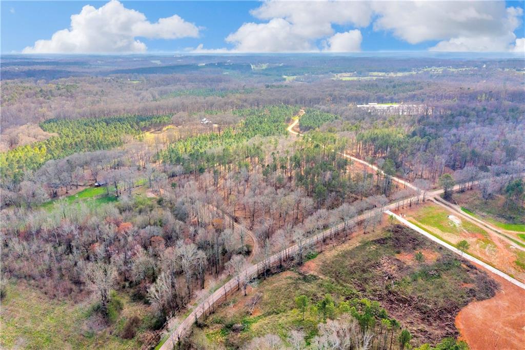 1660 Watkins Farm Road Nicholson, GA 30565 - Photo 44 of 55 a view of a yard with an outdoor space