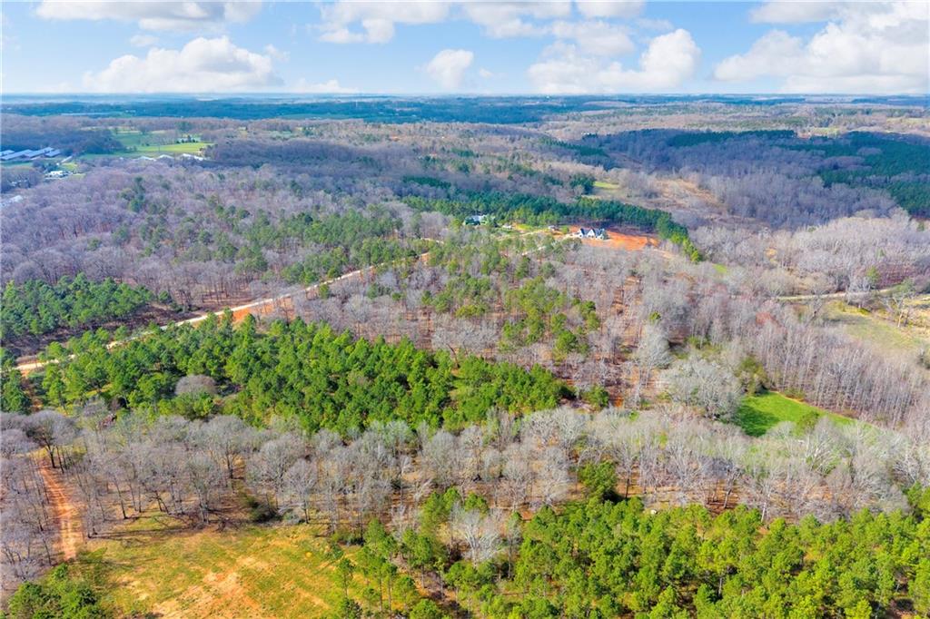 1660 Watkins Farm Road Nicholson, GA 30565 - Photo 45 of 55