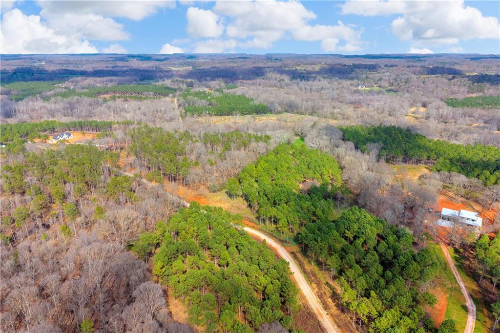 1660 Watkins Farm Road Nicholson, GA 30565 - Photo 46 of 55 a view of a lake with a mountain in the background