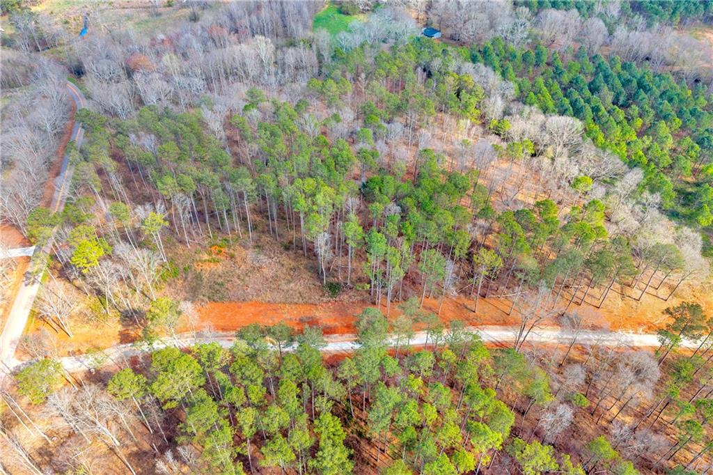 1660 Watkins Farm Road Nicholson, GA 30565 - Photo 47 of 55 a backyard of a house with a yard and garden