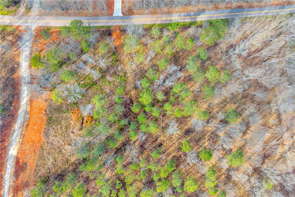 1660 Watkins Farm Road Nicholson, GA 30565 - Photo 48 of 55 a backyard of a house with lots of green space and garden in the back