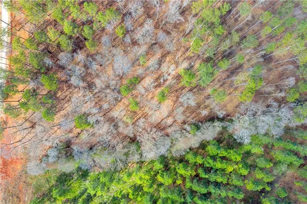 a view of lake and green space