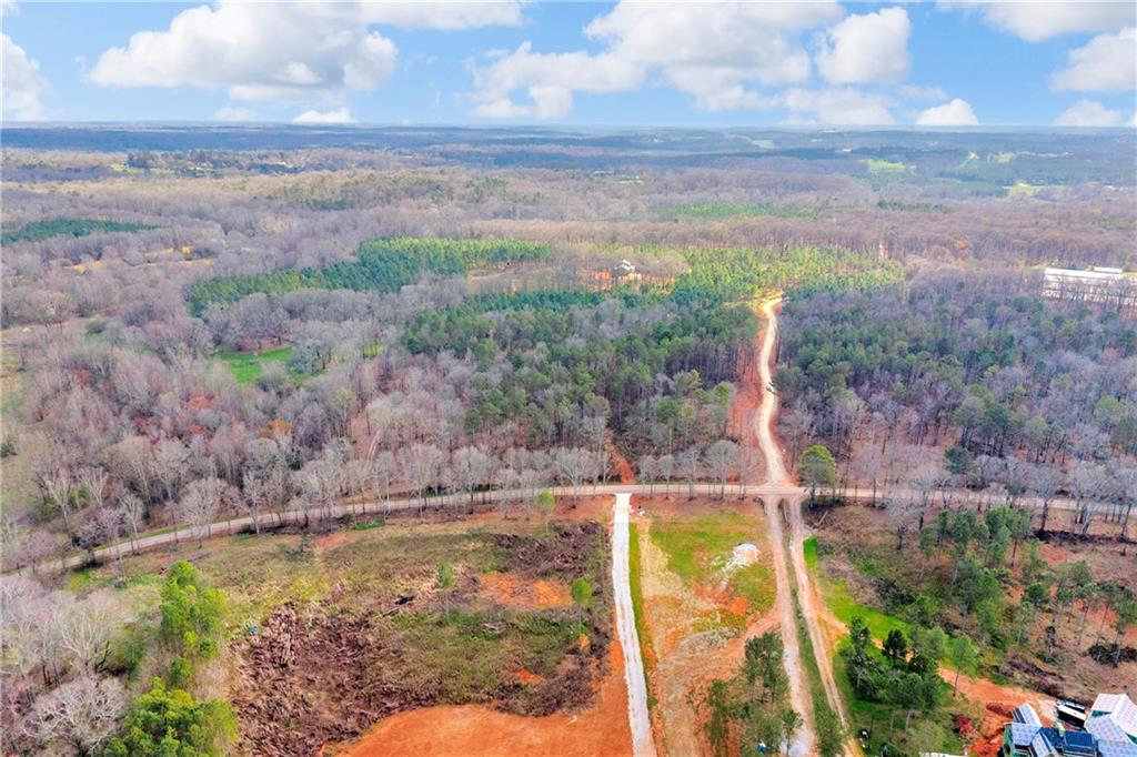 1660 Watkins Farm Road Nicholson, GA 30565 - Photo 5 of 55 a view of a backyard