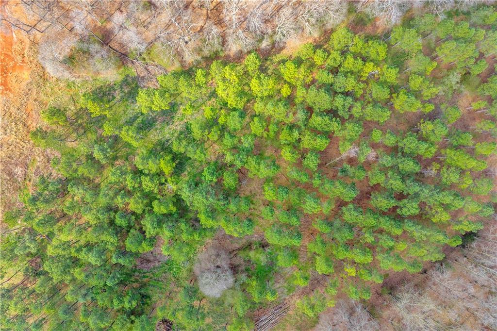 1660 Watkins Farm Road Nicholson, GA 30565 - Photo 51 of 55