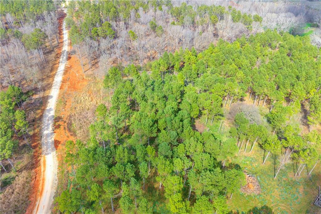 1660 Watkins Farm Road Nicholson, GA 30565 - Photo 52 of 55 a view of a yard with plants and tree