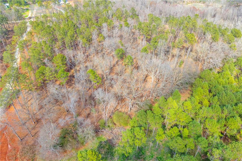 1660 Watkins Farm Road Nicholson, GA 30565 - Photo 53 of 55 a plant view