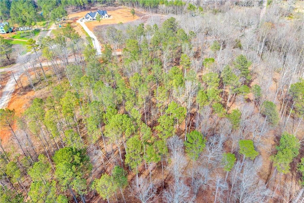 1660 Watkins Farm Road Nicholson, GA 30565 - Photo 54 of 55 a backyard of a house with lots of green space
