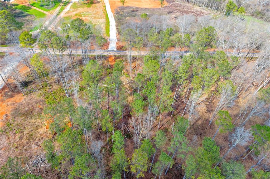 1660 Watkins Farm Road Nicholson, GA 30565 - Photo 55 of 55 a view of lake and green space