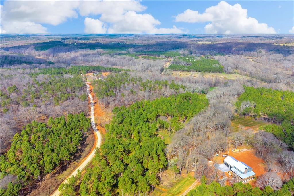 1660 Watkins Farm Road Nicholson, GA 30565 - Photo 9 of 55 a view of a yard with plants