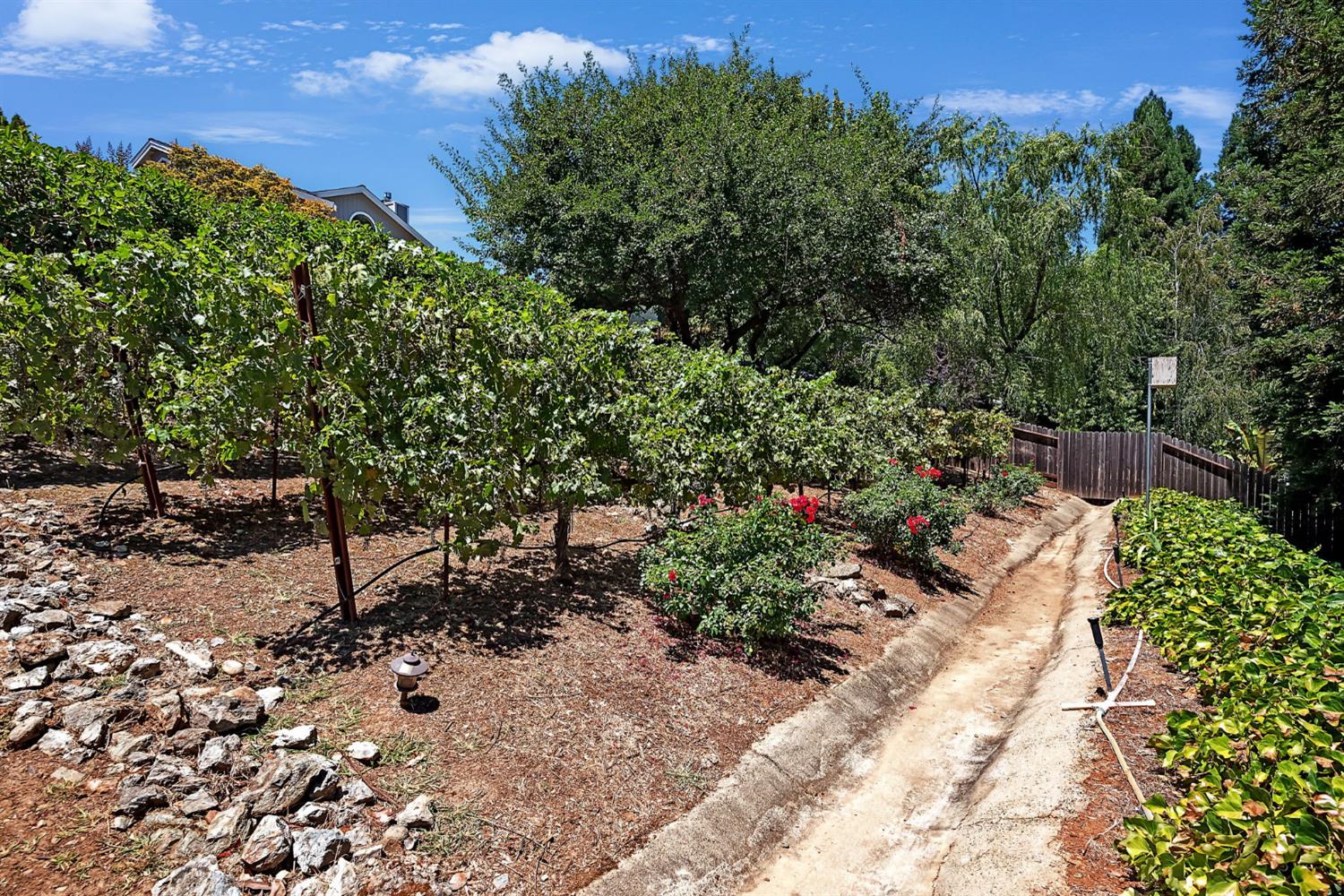4538 Bocana Road Cameron Park, CA 95682 - Photo 52 of 60