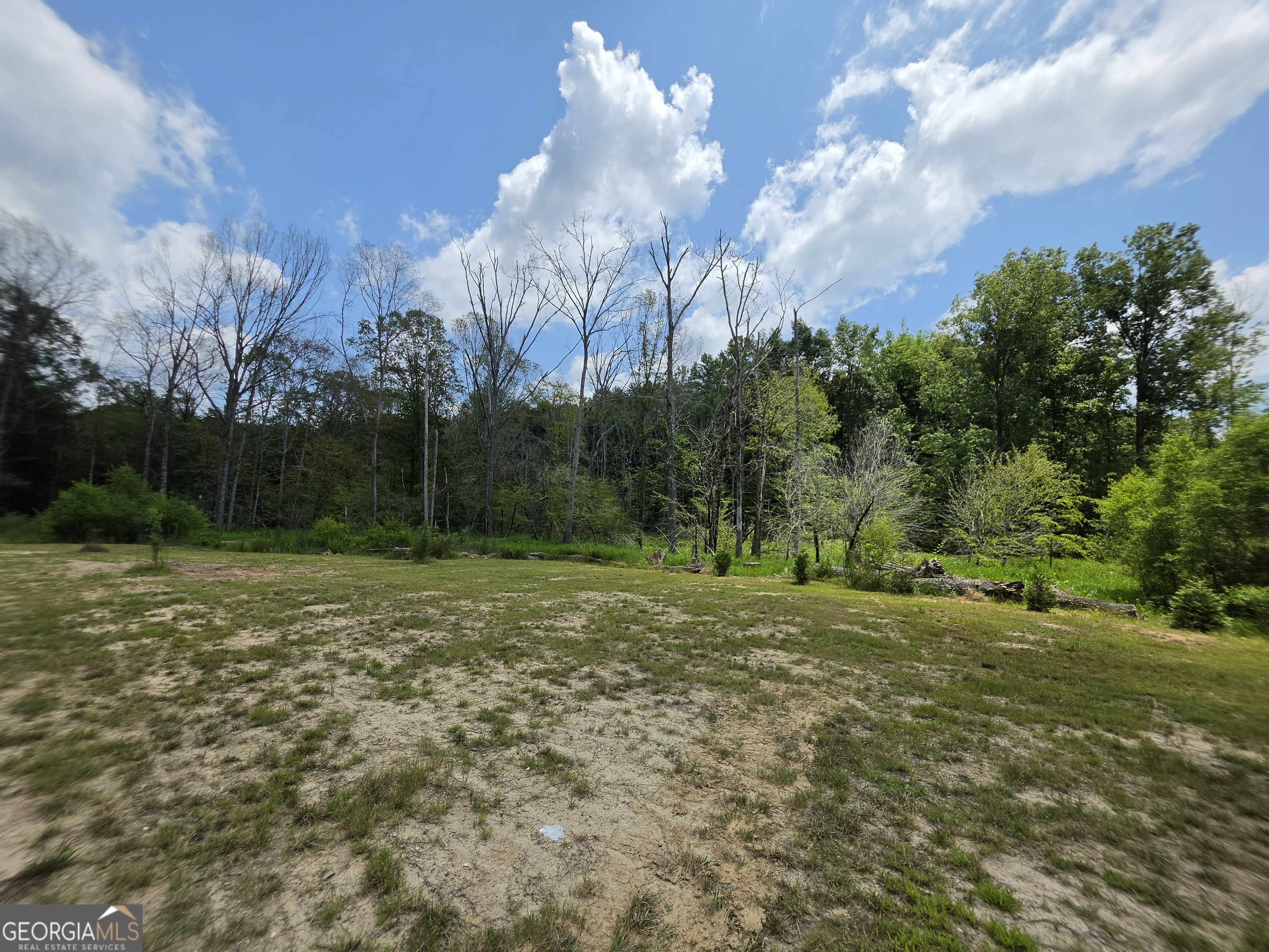 0 Court Ground Washington, GA 30673 - Photo 18 of 46 Gallery Image 18