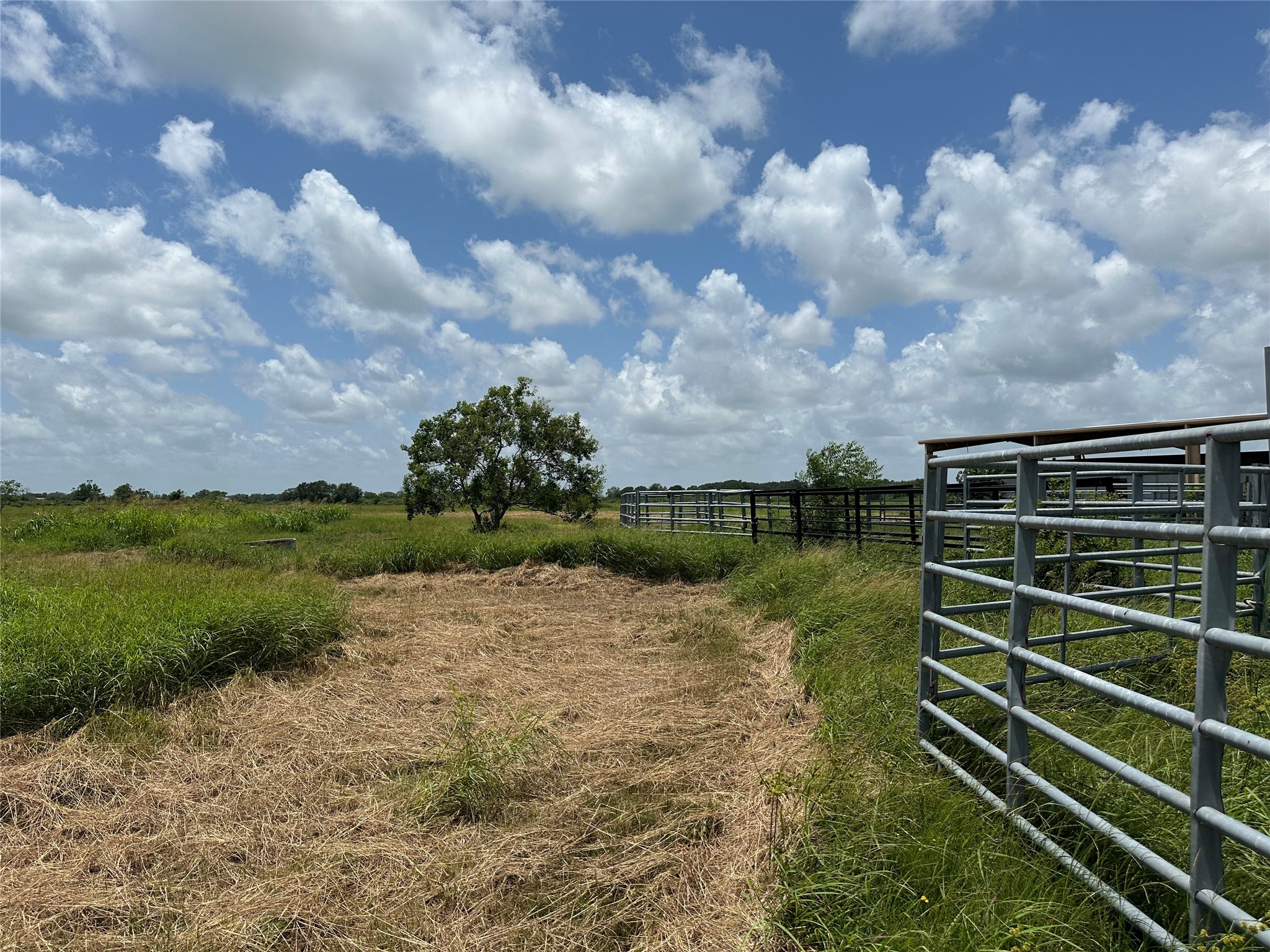 775 South FM 441 Road Louise, TX 77455 - Photo 8 of 14