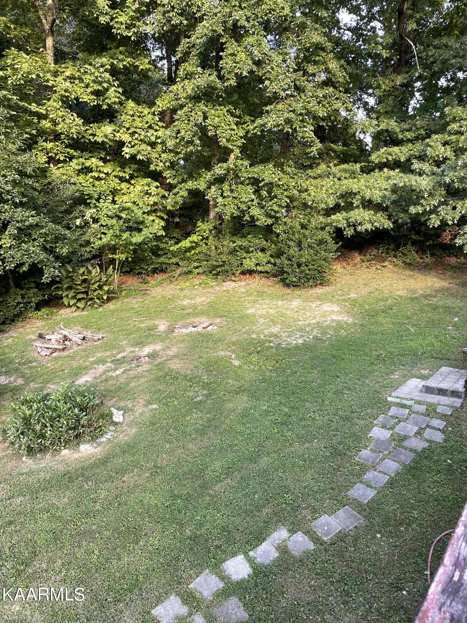 9904 Stagbush Road Powell, TN 37849 - Photo 18 of 21 backyard