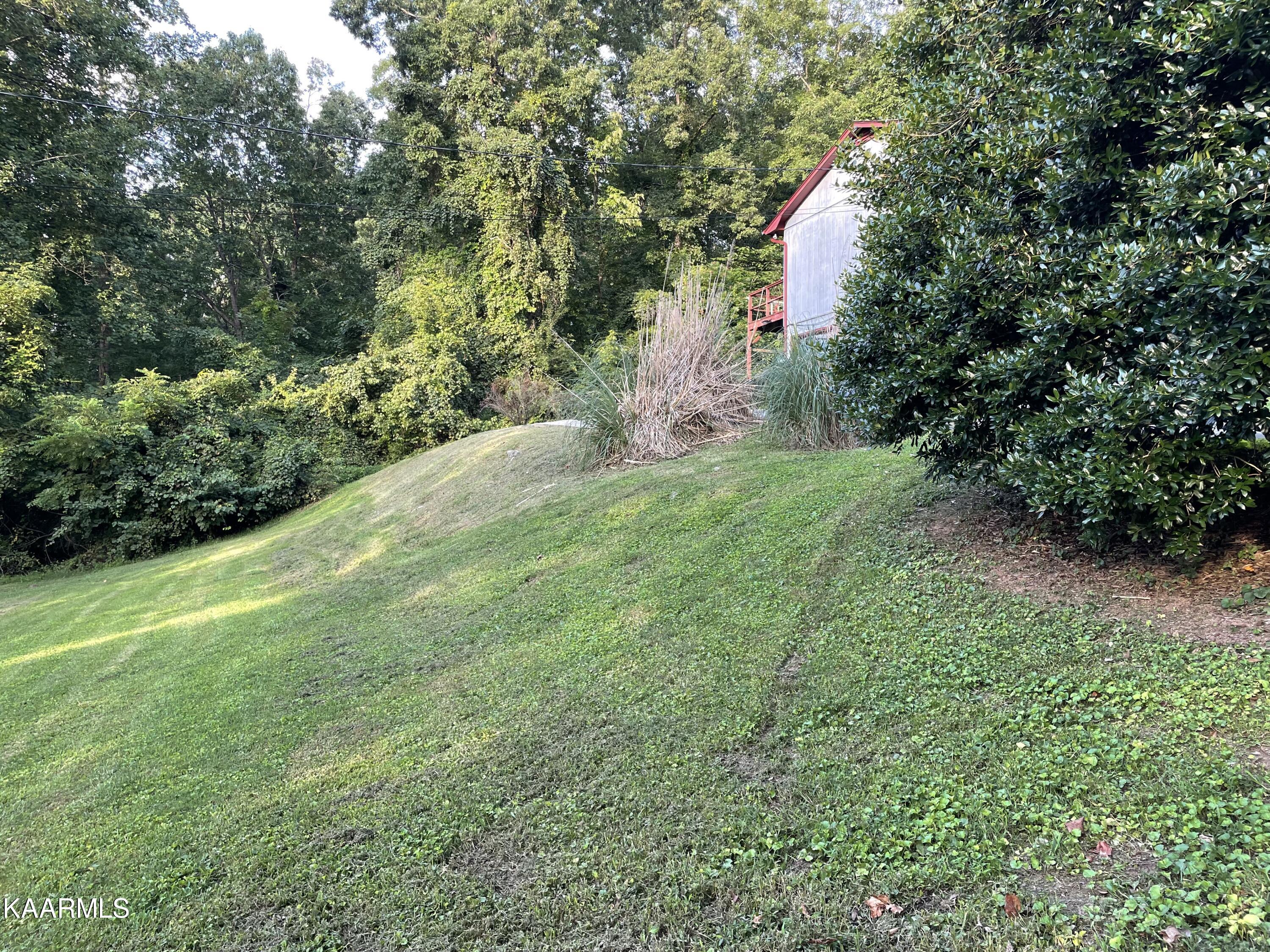 9904 Stagbush Road Powell, TN 37849 - Photo 19 of 21 left side yard