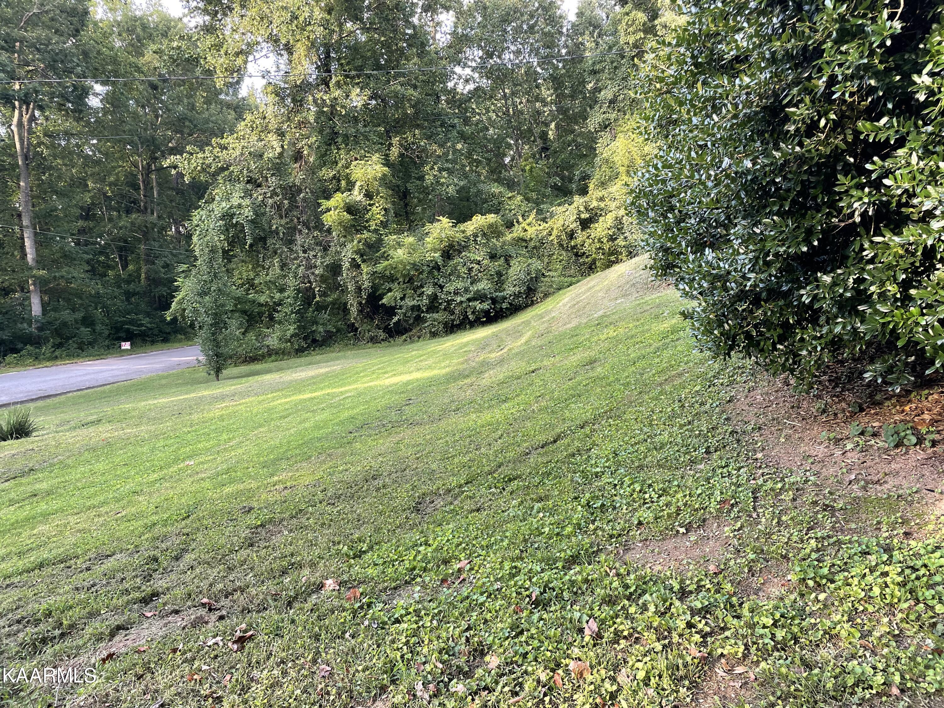 9904 Stagbush Road Powell, TN 37849 - Photo 20 of 21 side yard