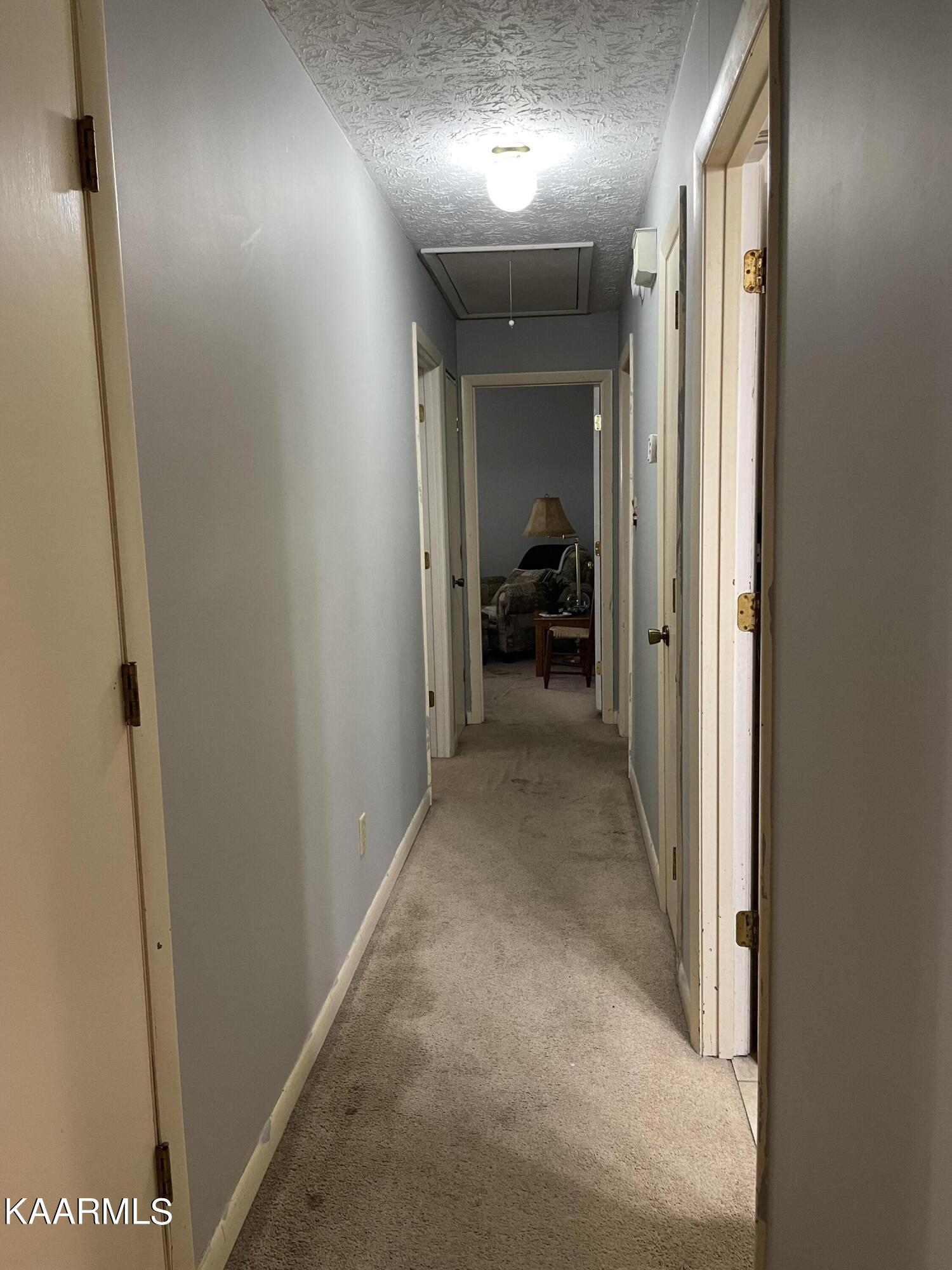 9904 Stagbush Road Powell, TN 37849 - Photo 7 of 21 Hallway