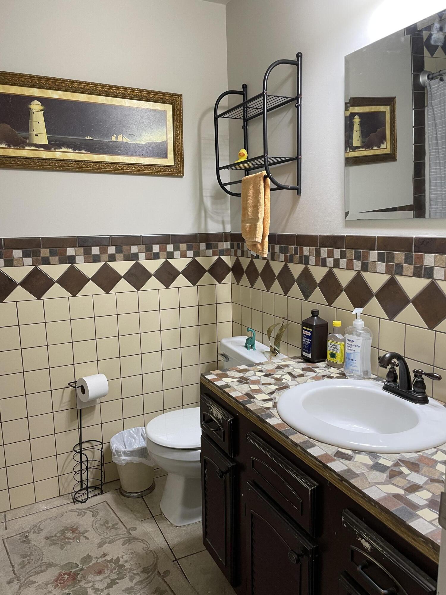 9904 Stagbush Road Powell, TN 37849 - Photo 9 of 21 hall bath