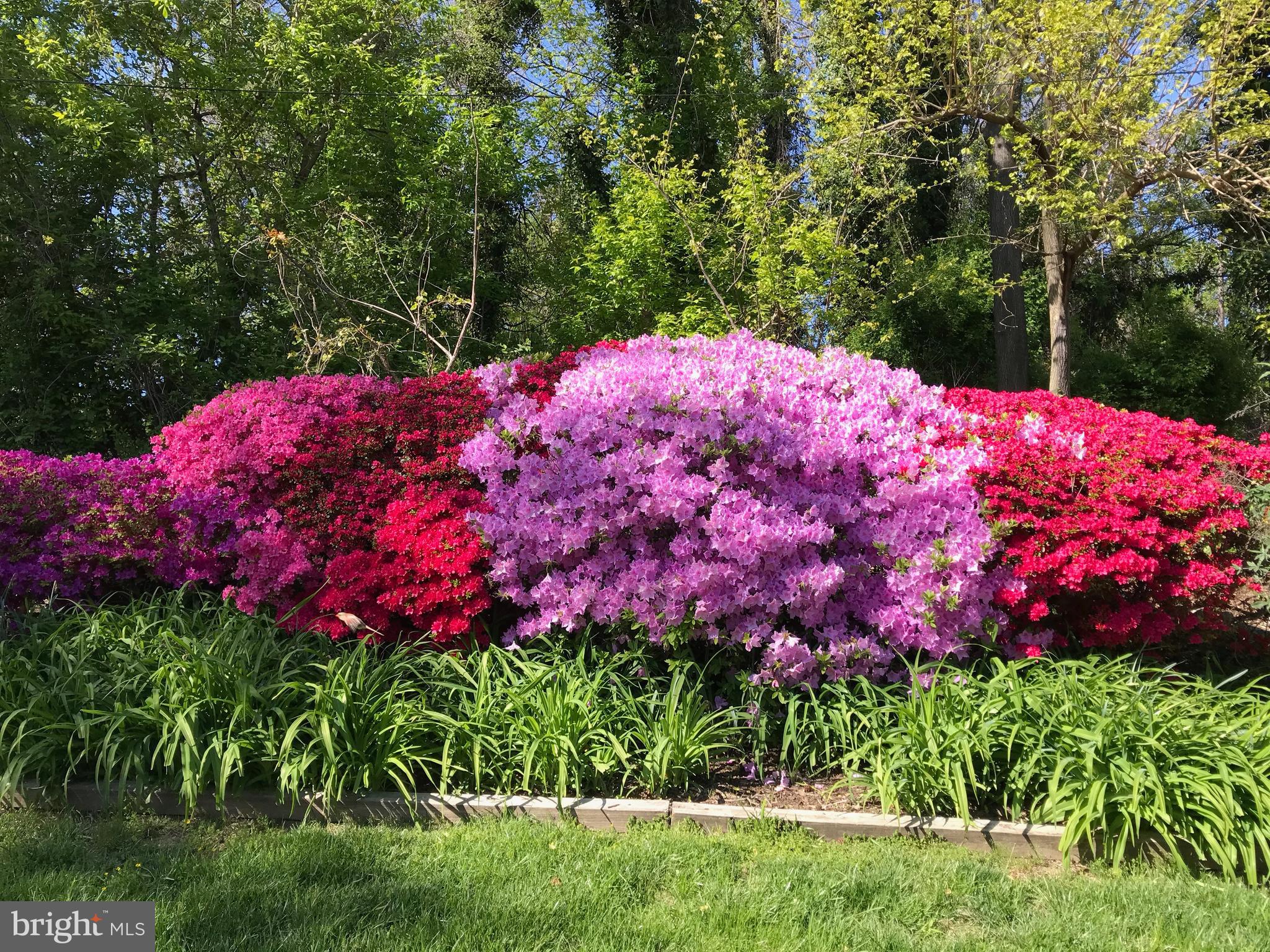 318 Alabama Road Towson, MD 21204 - Photo 62 of 72