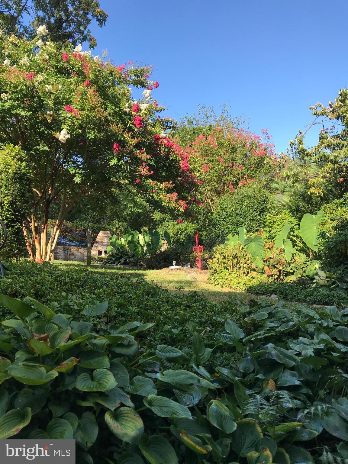 318 Alabama Road Towson, MD 21204 - Photo 63 of 72 a view of a tree with a yard