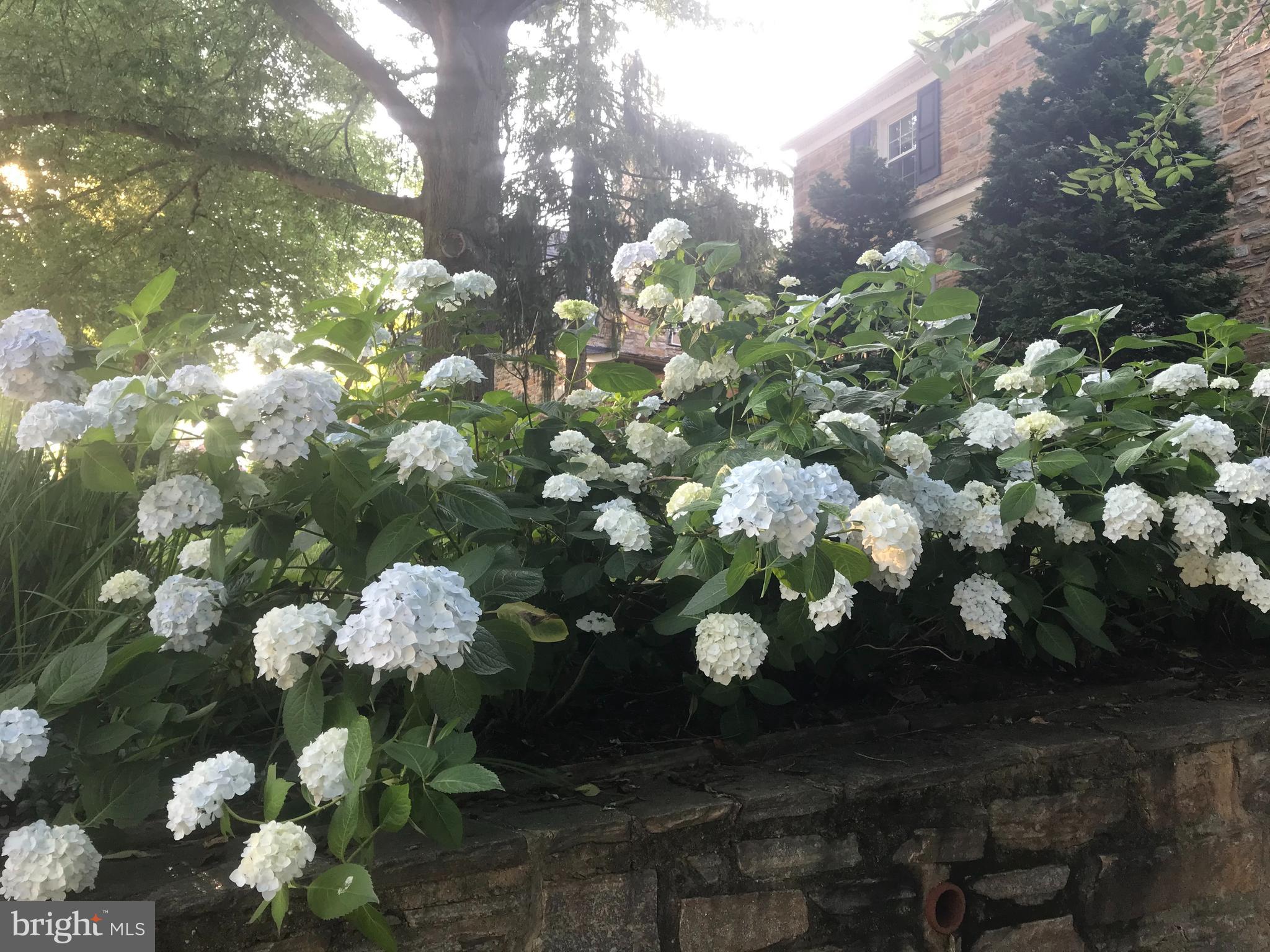 318 Alabama Road Towson, MD 21204 - Photo 65 of 72