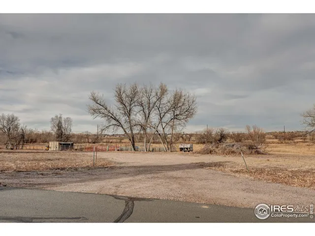 a view of dirt yard with a tree