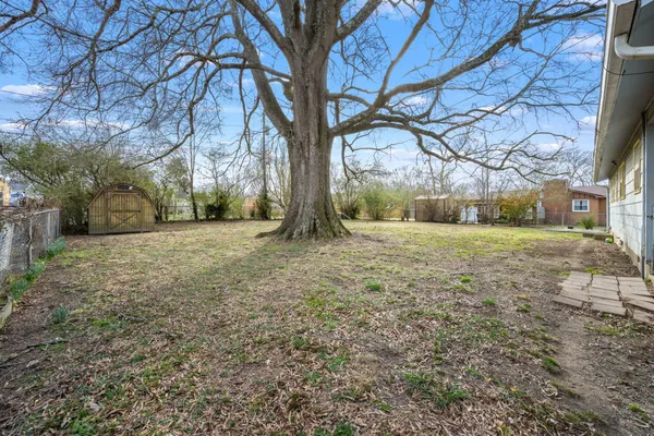 a view of a yard with a tree