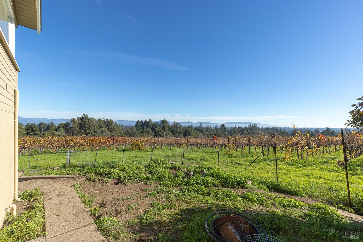 1365 Grandview Road Sebastopol, CA 95472 - Photo 60 of 74