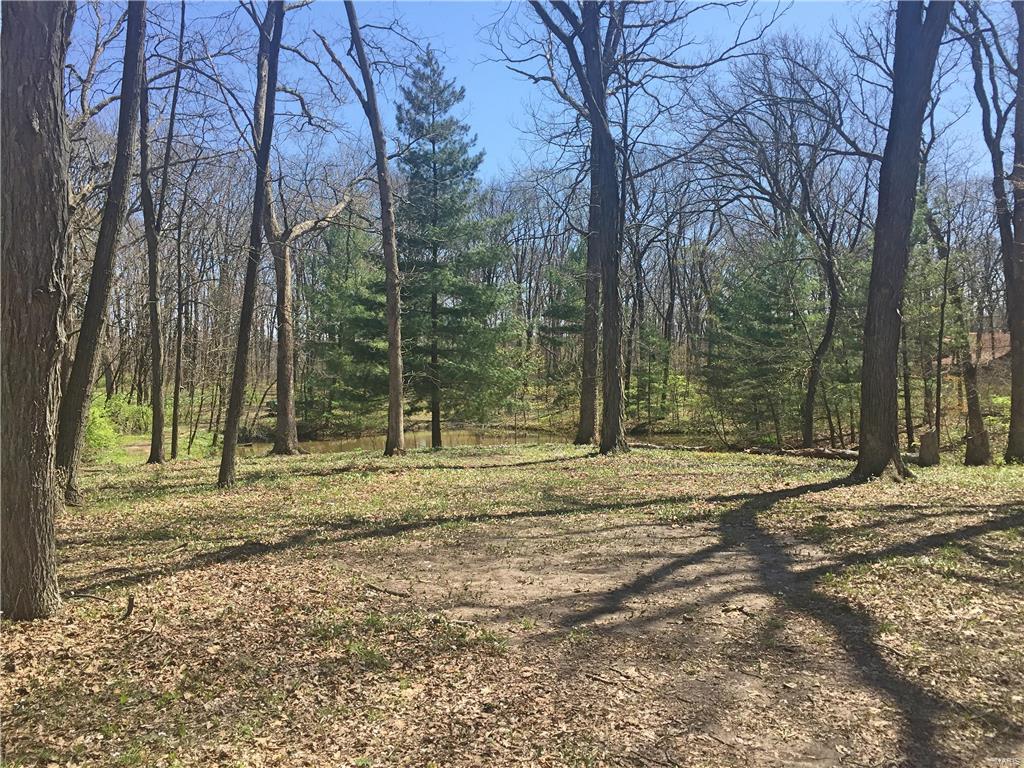 4422 Wilderness Road Highland, IL 62249 - Photo 71 of 96 Gallery Image 71