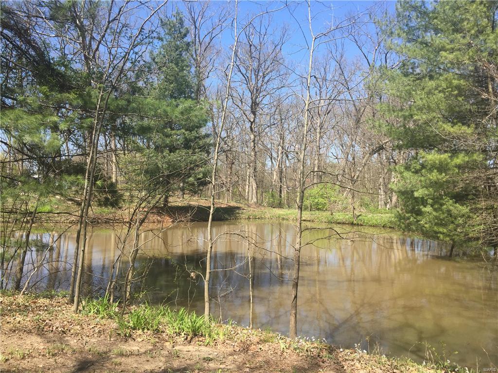 4422 Wilderness Road Highland, IL 62249 - Photo 76 of 96 Gallery Image 76