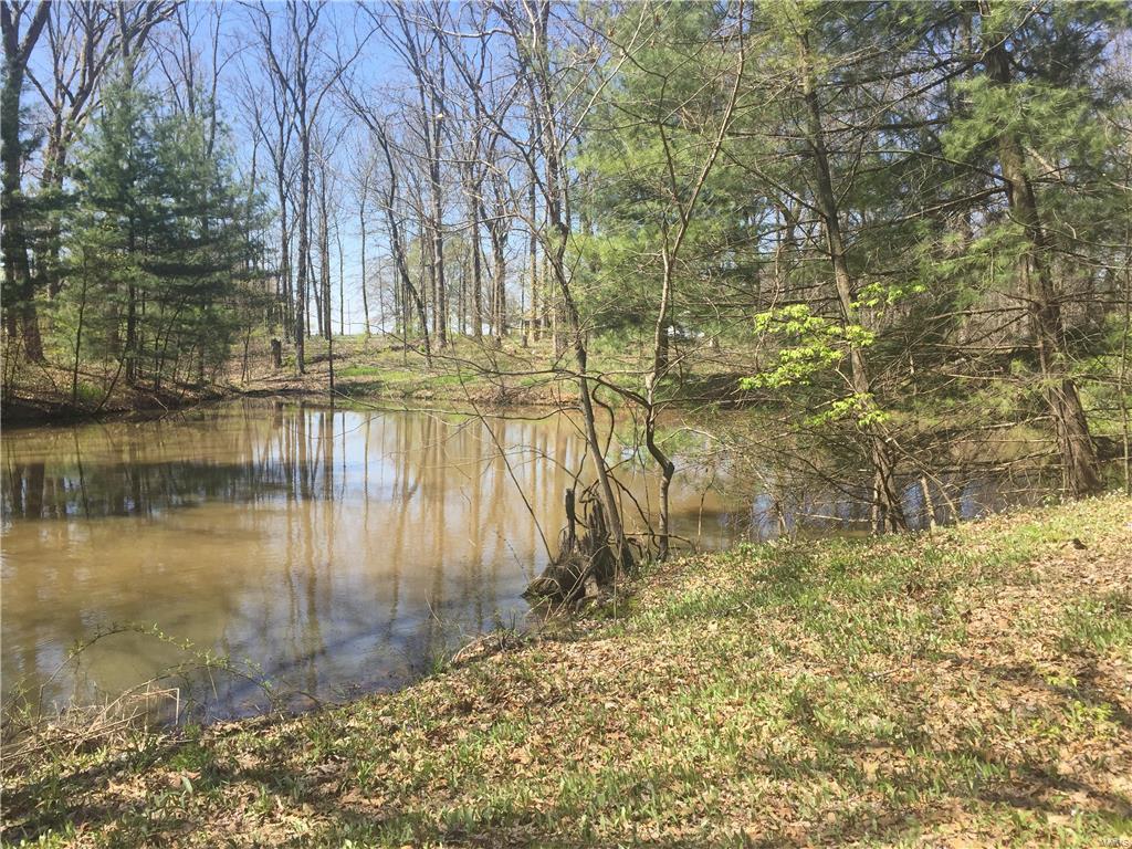 4422 Wilderness Road Highland, IL 62249 - Photo 79 of 96 Gallery Image 79