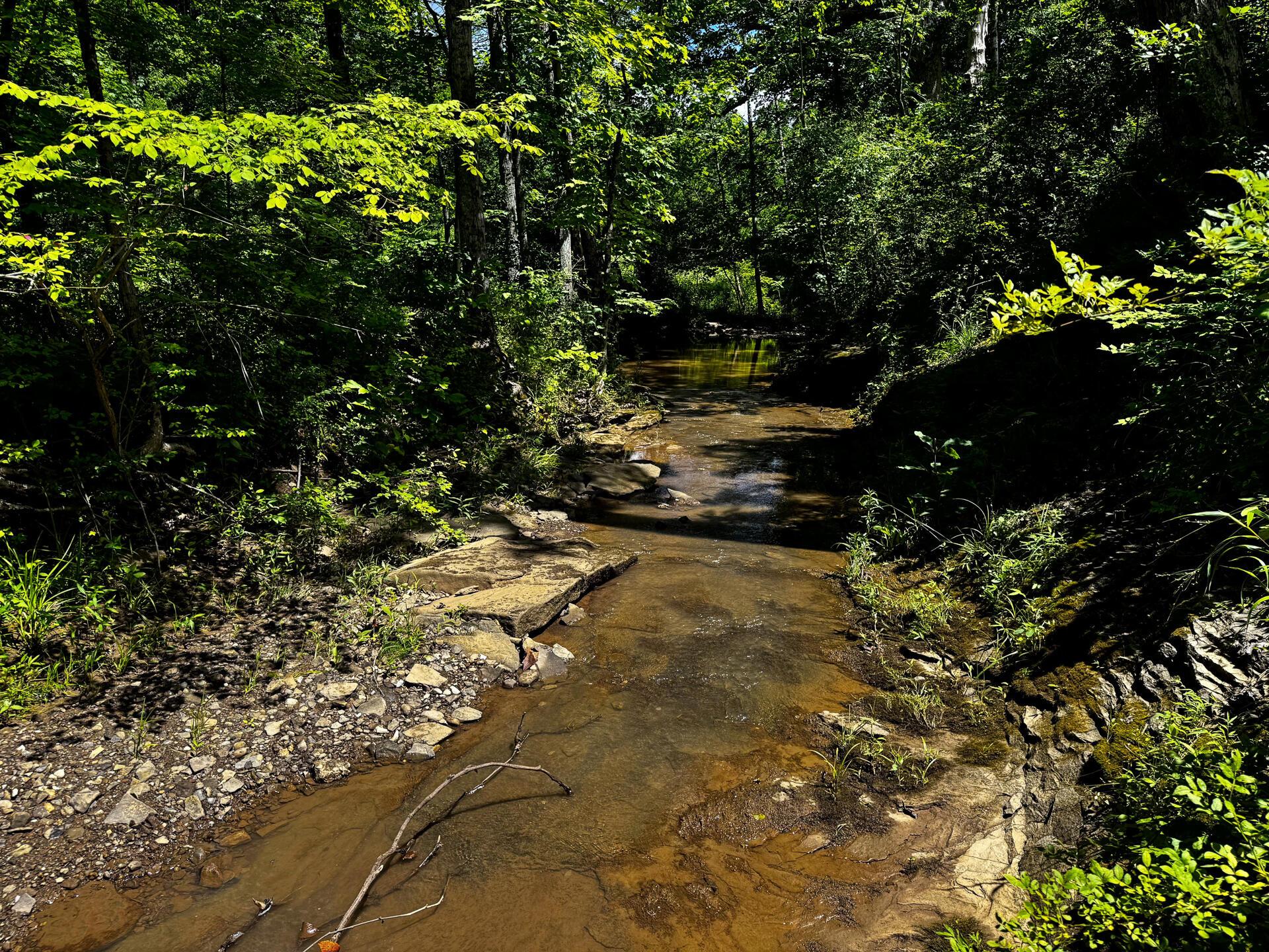 0 Barr Hollow Road Reedsville, OH 45772 - Photo 8 of 15 CT-8