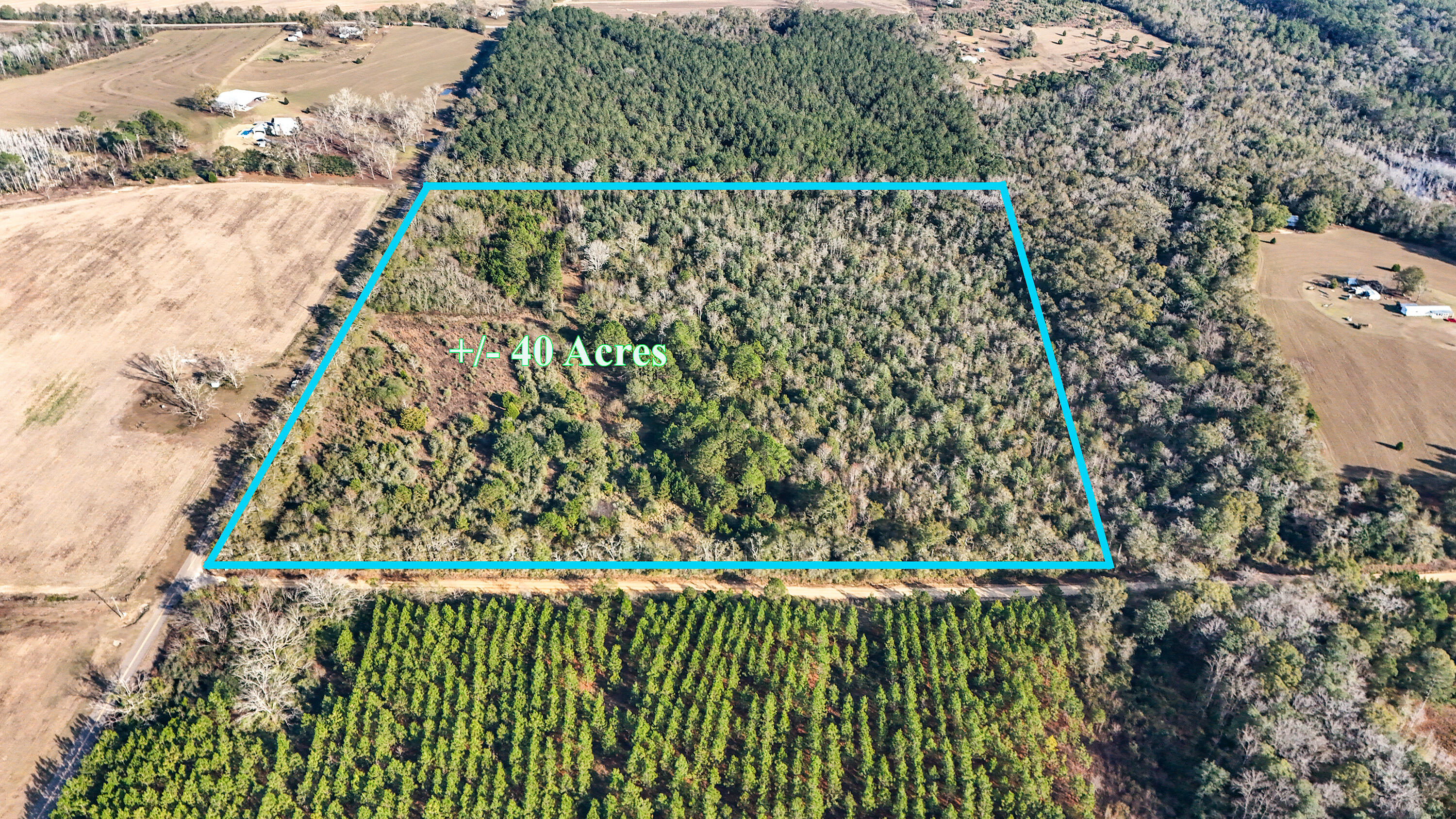 30772 Smyrna Road Florala, AL 36442 - Photo 1 of 26 a bird view of a garden