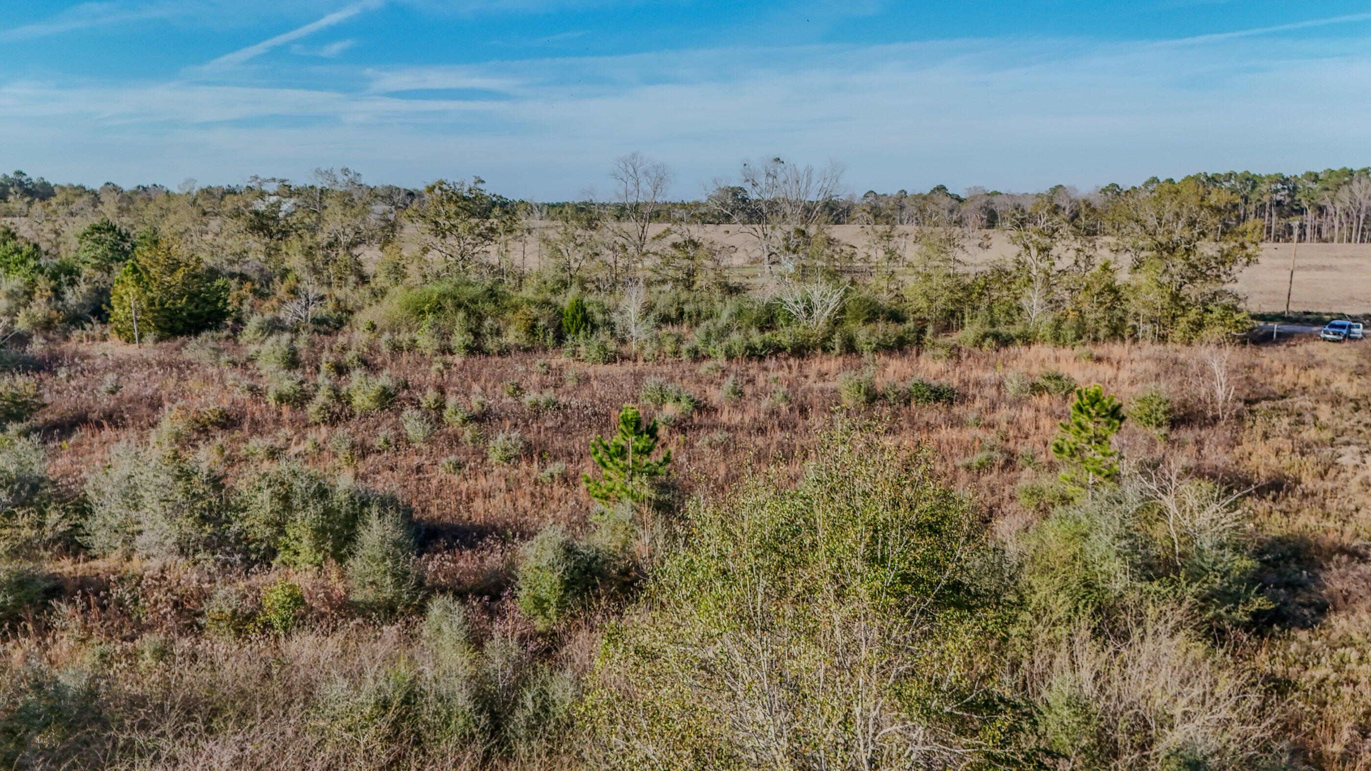 30772 Smyrna Road Florala, AL 36442 - Photo 12 of 26 a view of a forest with a building in the background