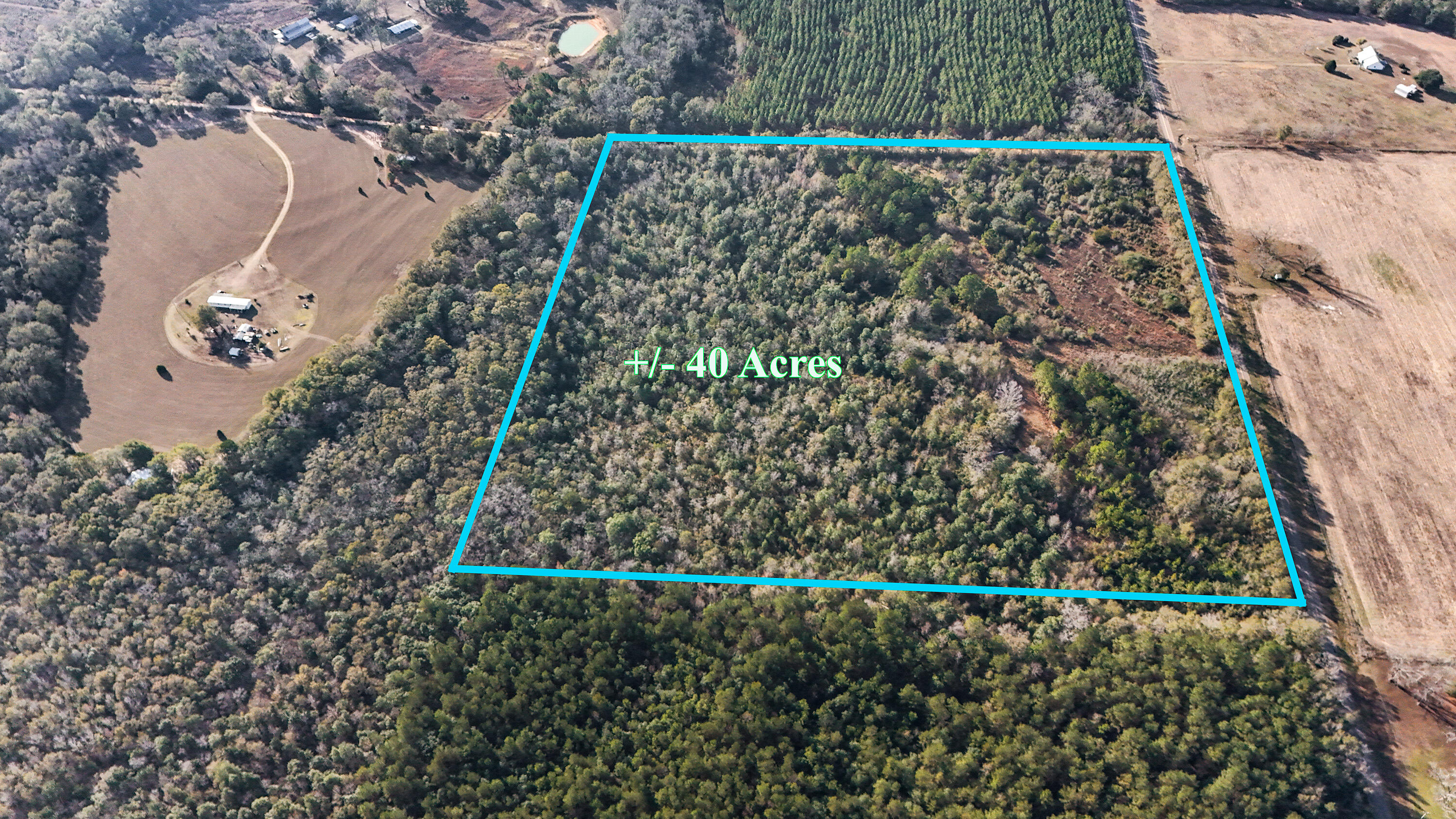 30772 Smyrna Road Florala, AL 36442 - Photo 2 of 26 a view of a yard