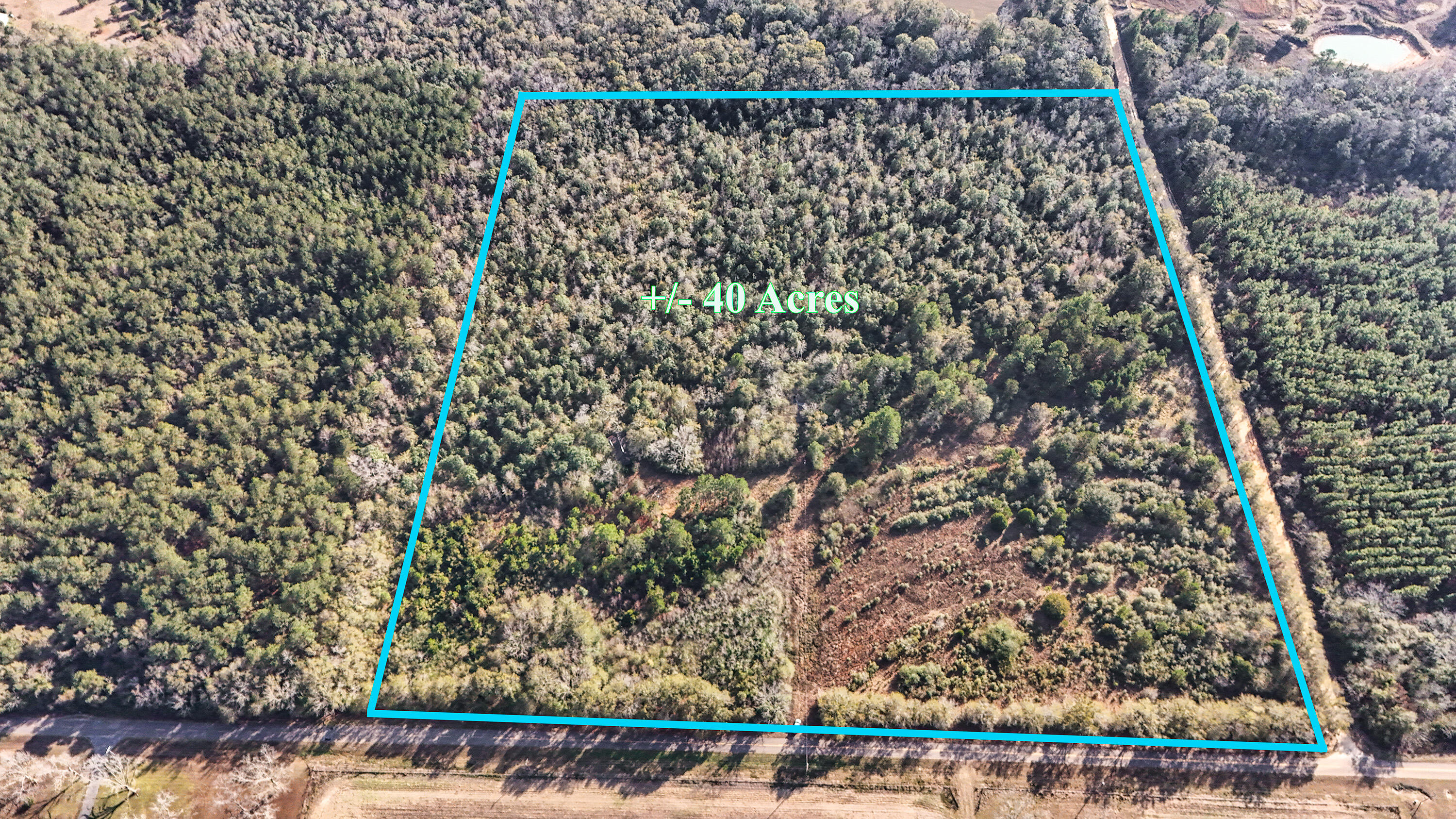 30772 Smyrna Road Florala, AL 36442 - Photo 3 of 26 unknown