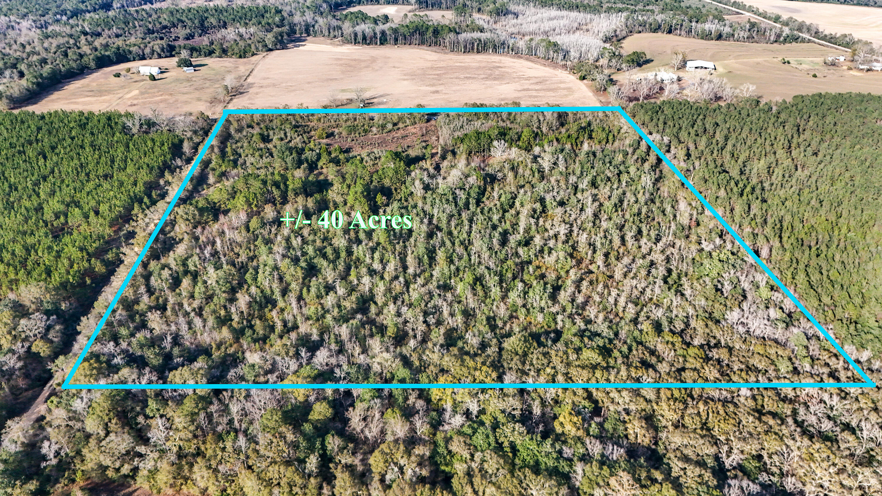 30772 Smyrna Road Florala, AL 36442 - Photo 4 of 26