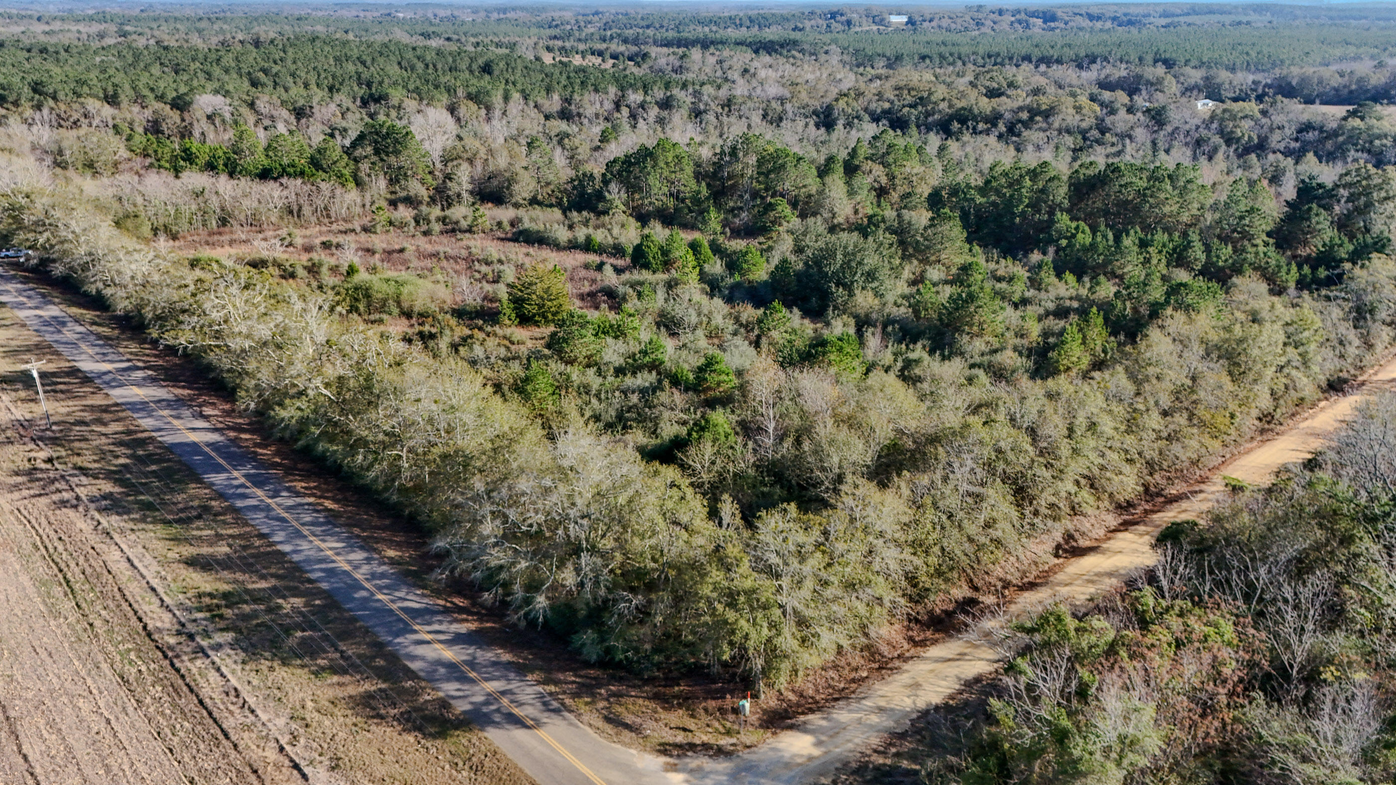 30772 Smyrna Road Florala, AL 36442 - Photo 6 of 26 a view of a yard with a tree