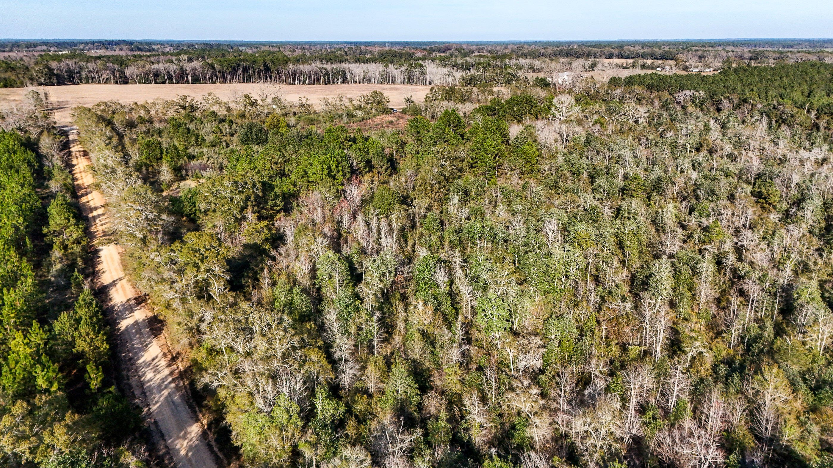 30772 Smyrna Road Florala, AL 36442 - Photo 8 of 26