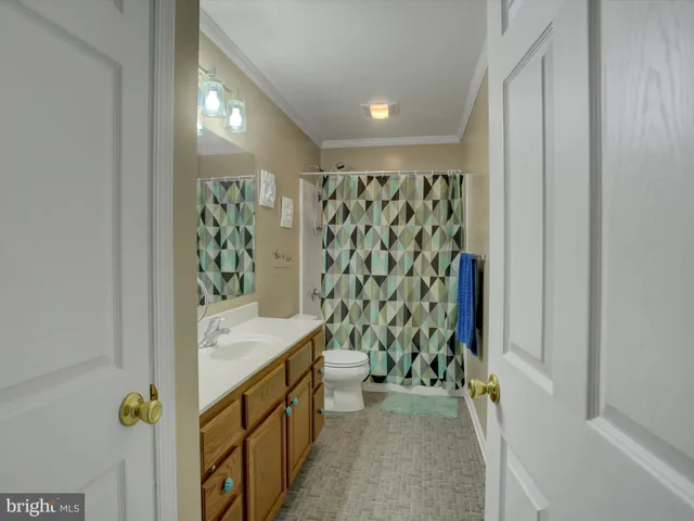 a bathroom with a sink a toilet and shower curtain