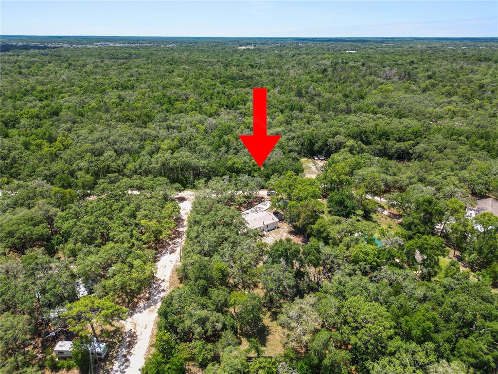 13043 Gennaro Road Hudson, FL 34669 - Photo 49 of 55