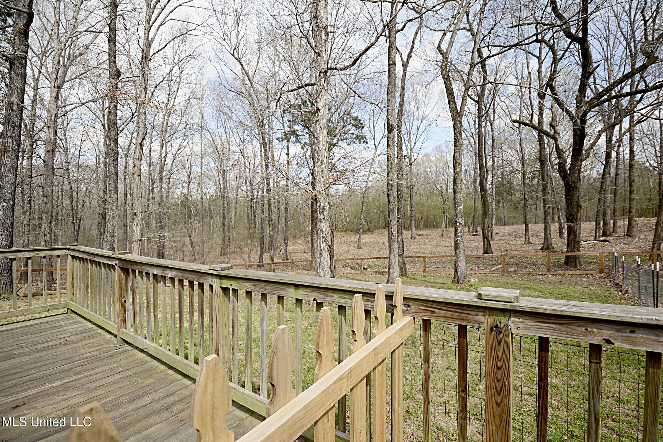 149 Strickland Road Byhalia, MS 38611 - Photo 36 of 37 Backyard